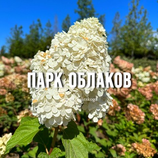 Логотип канала park_oblakov