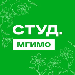 Логотип канала studsouzmgimo