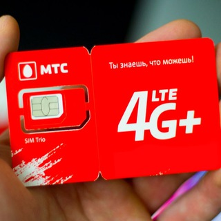 Логотип канала ssev4g