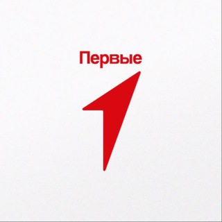 Логотип mypervie07_terski