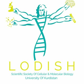 Логотип lodish_association