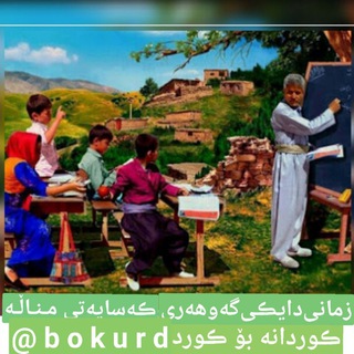 Логотип канала bokurd