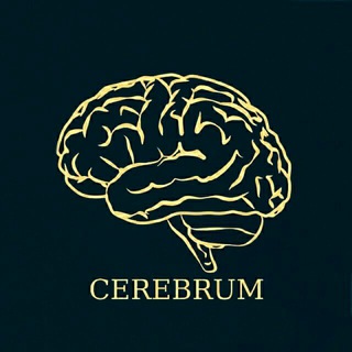 Логотип канала cerebrum_chat