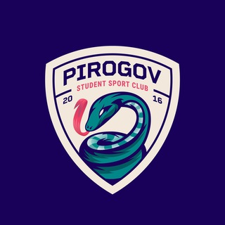 Логотип канала pirogovteam