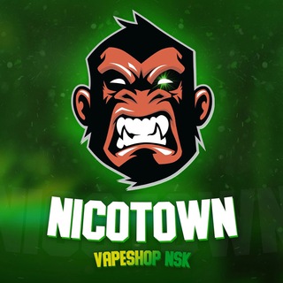 Логотип nicotown54