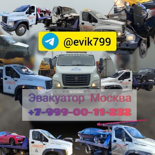 Логотип канала evik799