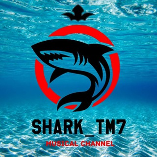 Логотип канала sharktm7