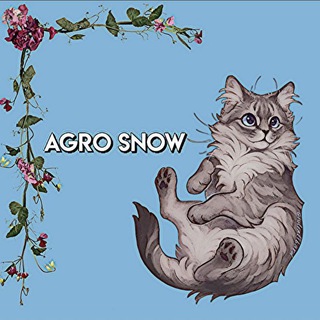 Логотип agro_snow