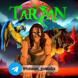 Логотип канала tarzan_priroda