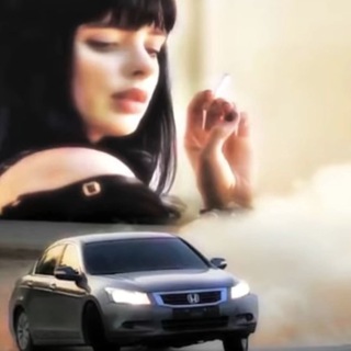 Логотип канала velvetteddy