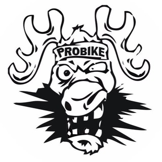 Логотип probiketeam