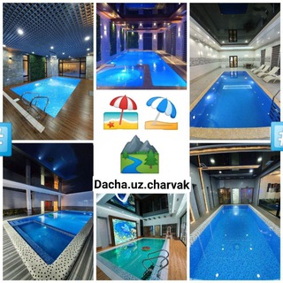 Логотип dacha_uz_dacha_top_dacha_vip