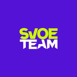 Логотип svoeteam