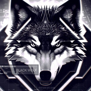 Логотип канала blackwolvesz