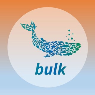 Логотип канала bulknetworkintl