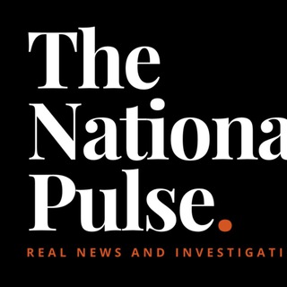 Логотип канала nationalpulse