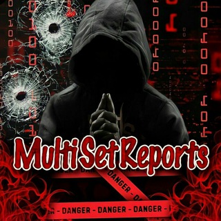 Логотип multiset_reports