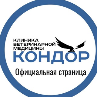 Логотип канала kondorvet