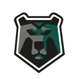 Логотип канала blackbearspolytech