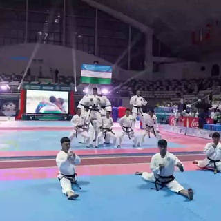 Логотип канала taekwondofergana