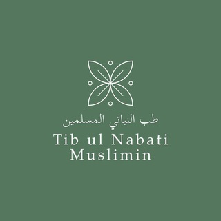 Логотип канала tibulnabatimuslimin