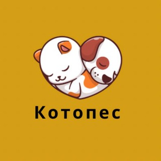 Логотип канала kotopes88888888