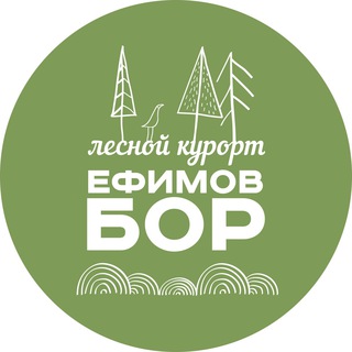 Логотип канала efimovbor