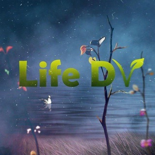 Логотип канала dvlifedv