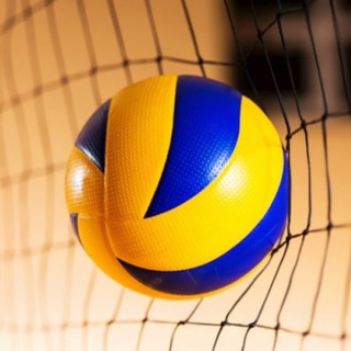 Логотип voleyboller