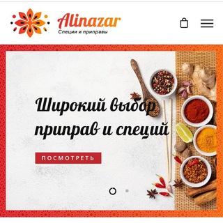 Логотип канала alinazarspeciya