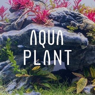 Логотип канала aquaplant_ru