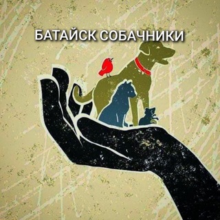 Логотип bataysk_sobachniki