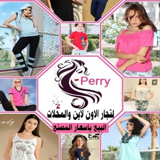 Логотип perrystore