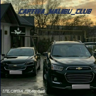 Логотип канала captiva_malibu_club