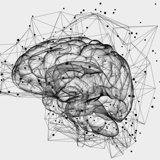 Логотип notes_neuropsychology