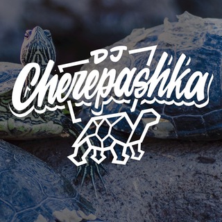 Логотип канала djcherepashka