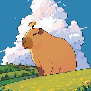 Логотип канала capybarareadschat