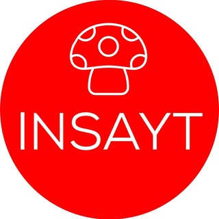 Логотип insaytmicro