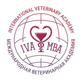 Логотип канала vetacademyivc