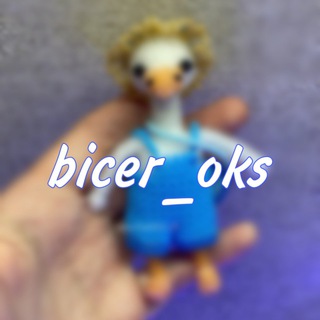 Логотип bicer_oks