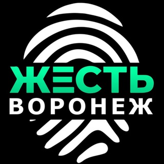 Логотип канала zhest_voronezh_136