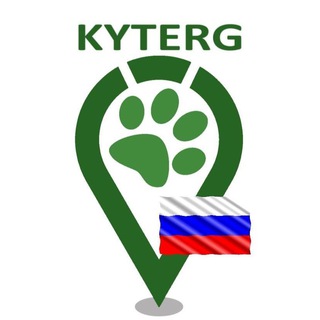 Логотип kyterg_spb