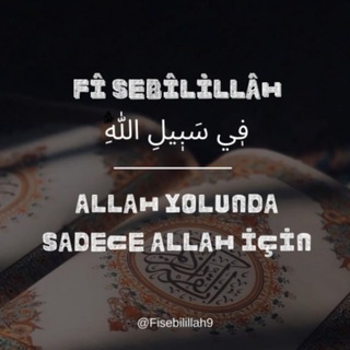 Логотип fisebilillah9