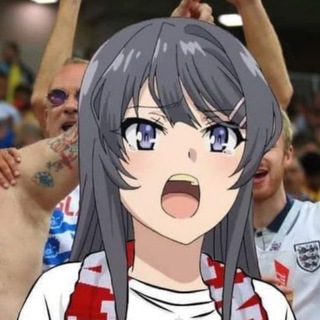 Логотип donateselite