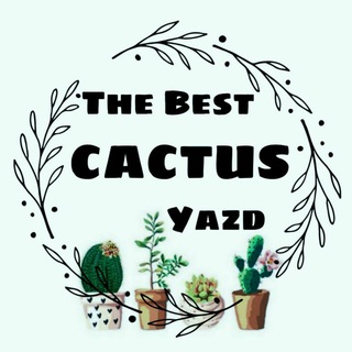 Логотип канала best_cactus