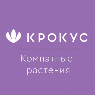 Логотип канала plantskrokuskazan