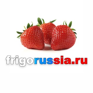 Логотип канала Frigo_Russia