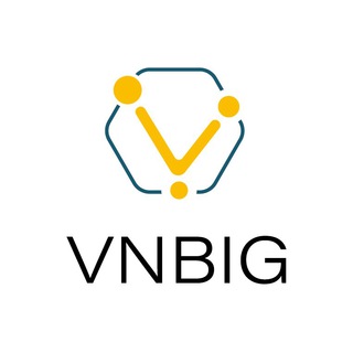 Логотип канала vnbig