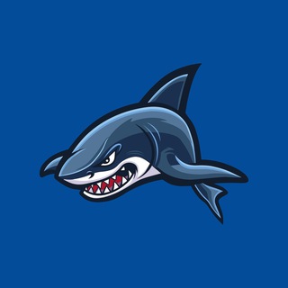 Логотип канала auto_shark