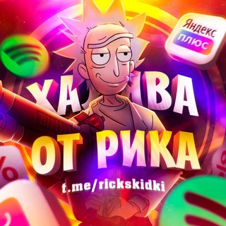 Логотип канала rickskidki